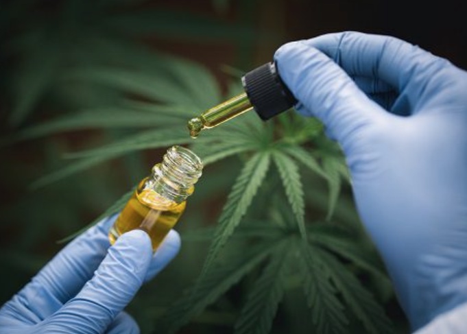 Juiz diz que é desumano punir pacientes de realizarem tratamento com cannabis