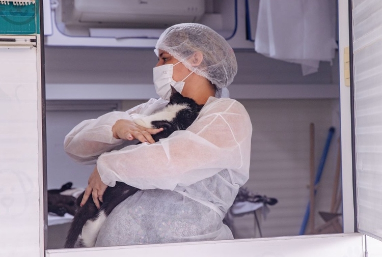 Estádio Carlos Zamith oferecerá castração gratuita para 200 animais