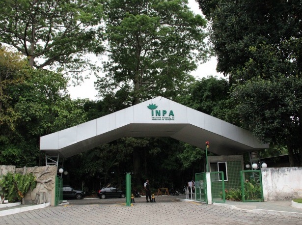 Inpa abre seleção de bolsistas de nível médio e doutores, com remuneração de até R$ 5,7 mil