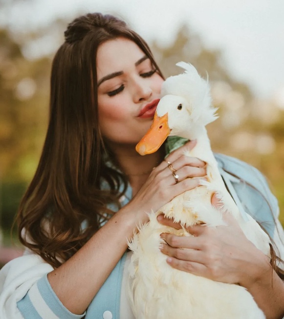 'Procura-se Patolino': Polícia investiga roubo de pato de influenciadora
