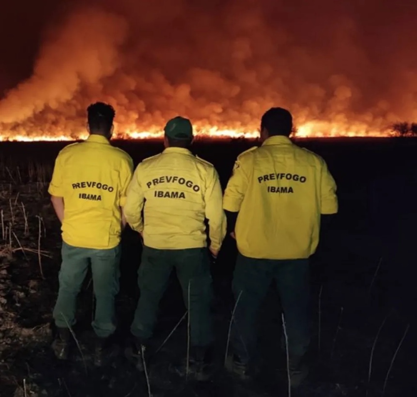 Com salário de até R$ 5,2 mil, Ibama abre concurso com vagas para o Amazonas