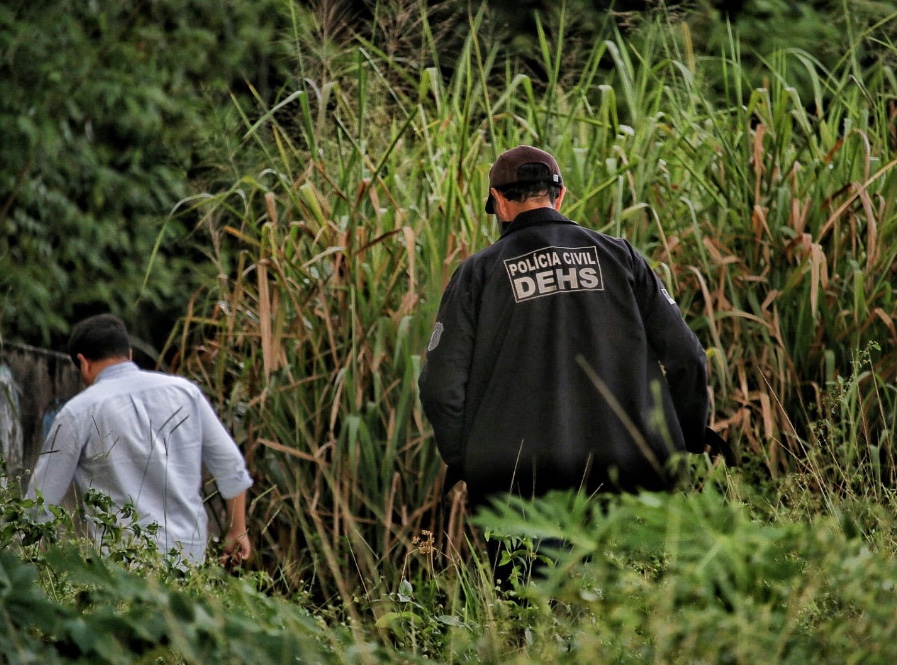 Ossada humana é encontrada em área de mata em Manaus