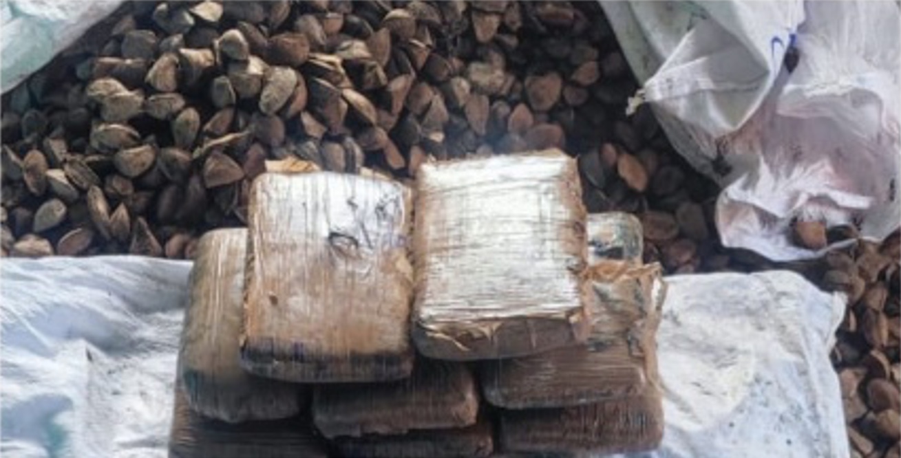 Drogas escondidas em saco com castanhas são apreendidas em porto no Amazonas