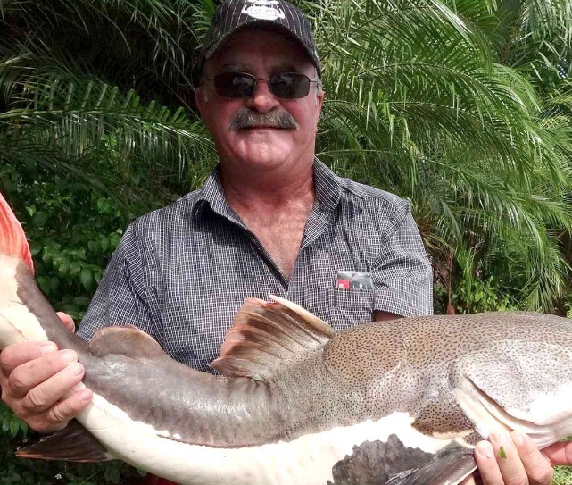 Corpo de pescador desaparecido é encontrado dentro de crocodilo