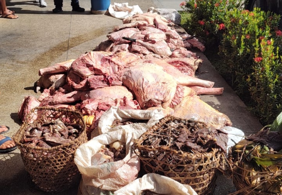 Homens são presos por vendar ilegal de carne de anta e mutum no Amazonas