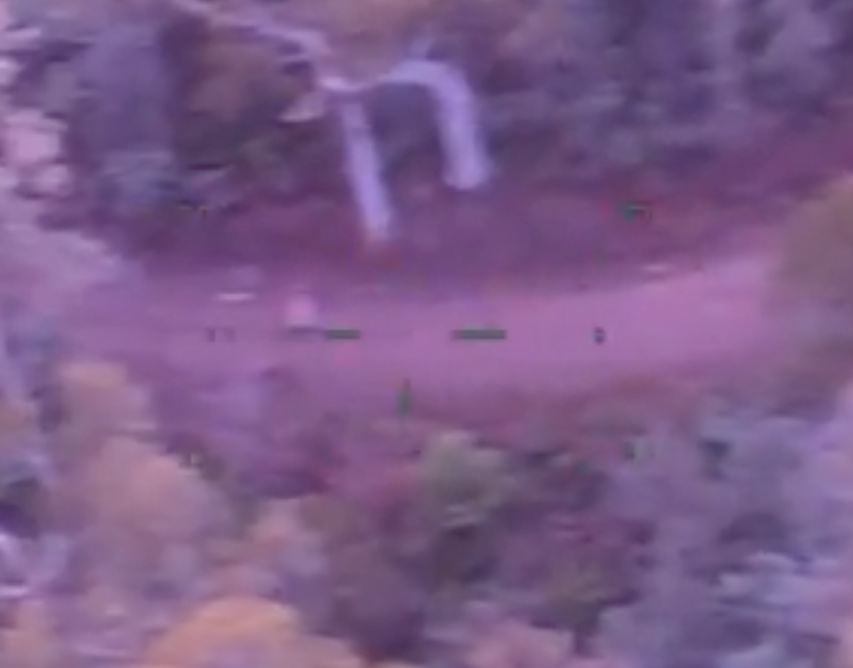 Mulher sobrevive por 5 dias em floresta consumindo doces e vinho