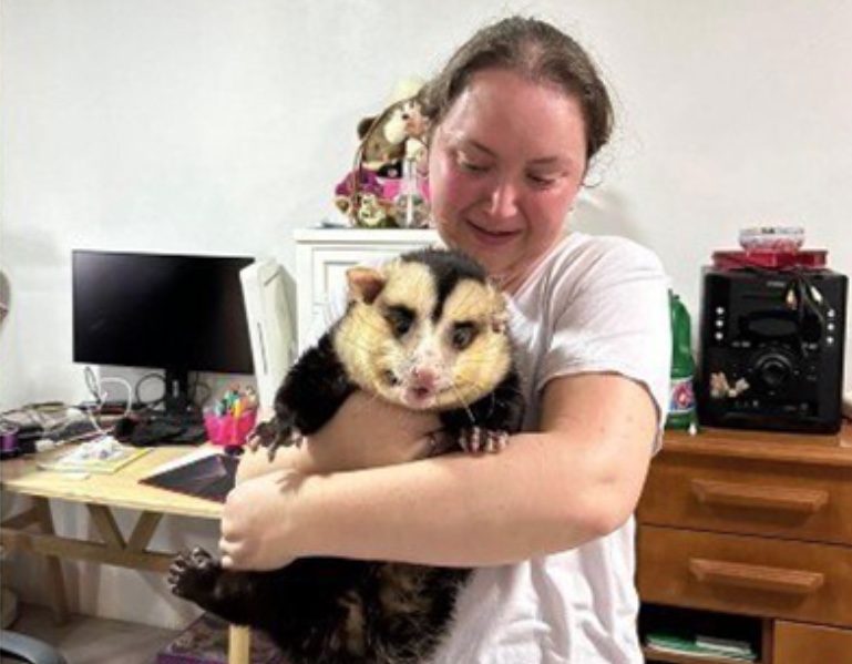 Gambá ‘Emílio’ é recolhido pela Polícia Ambiental no RS; animal tinha 150 mil seguidores