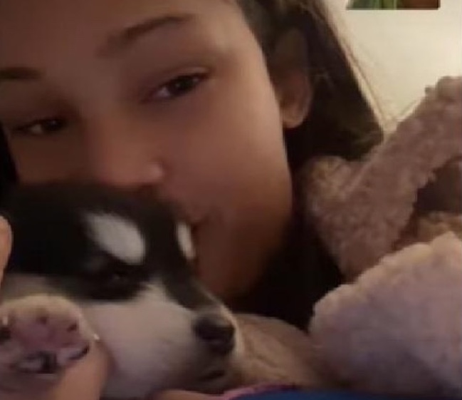 Influenciadora denuncia golpe ao comprar cachorro e receber lobo