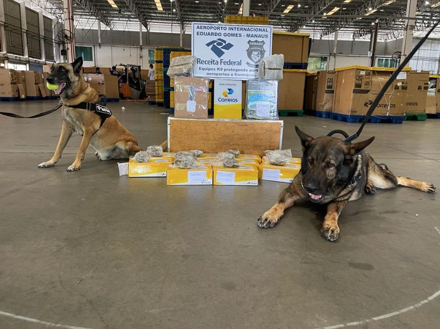 Receita apreende R$ 5 mil em dinheiro falso em encomendas dos Correios em Manaus