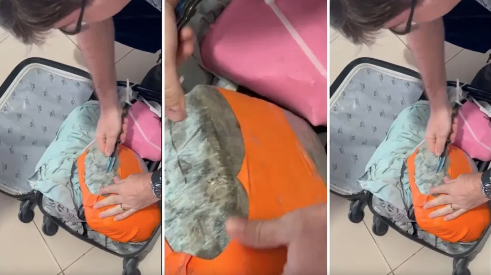 Passageiro tenta viajar com drogas para o Amazonas e é preso em rodoviária de Roraima