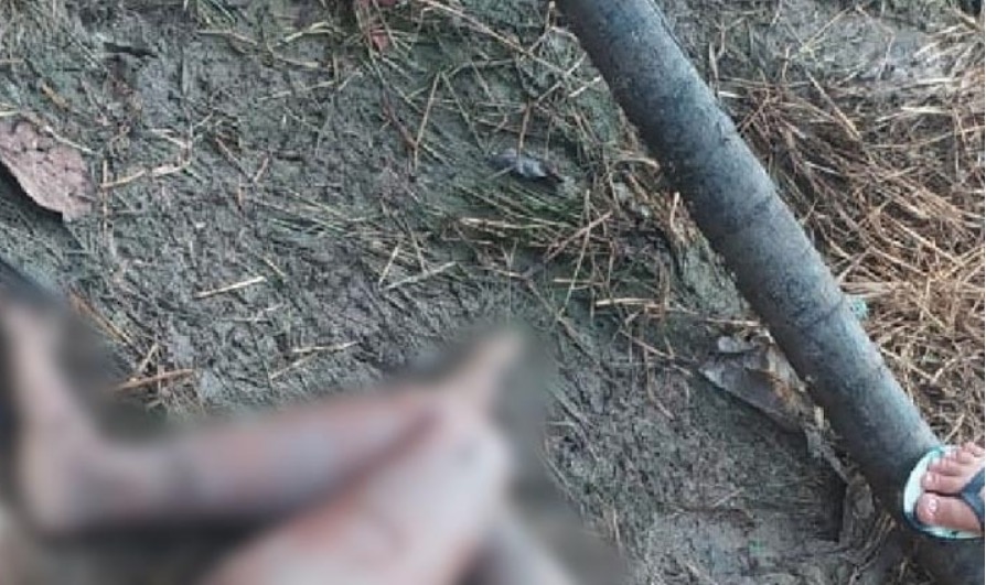 Mulher encontrada seminua e com olhos arrancados é identificada no Amazonas