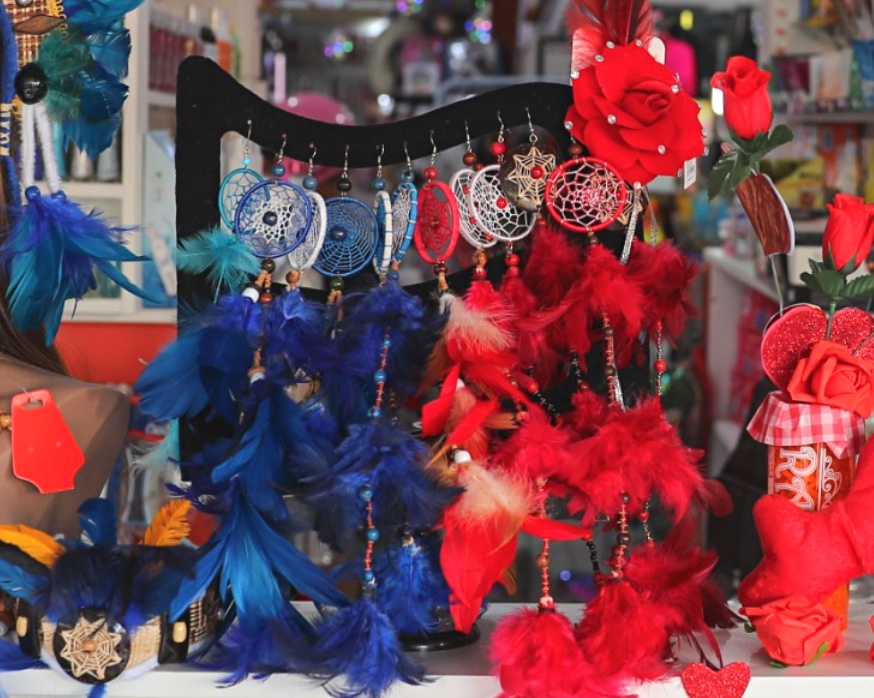 Ibama alerta sobre vendas de artesanatos com partes de animais silvestres no Amazonas