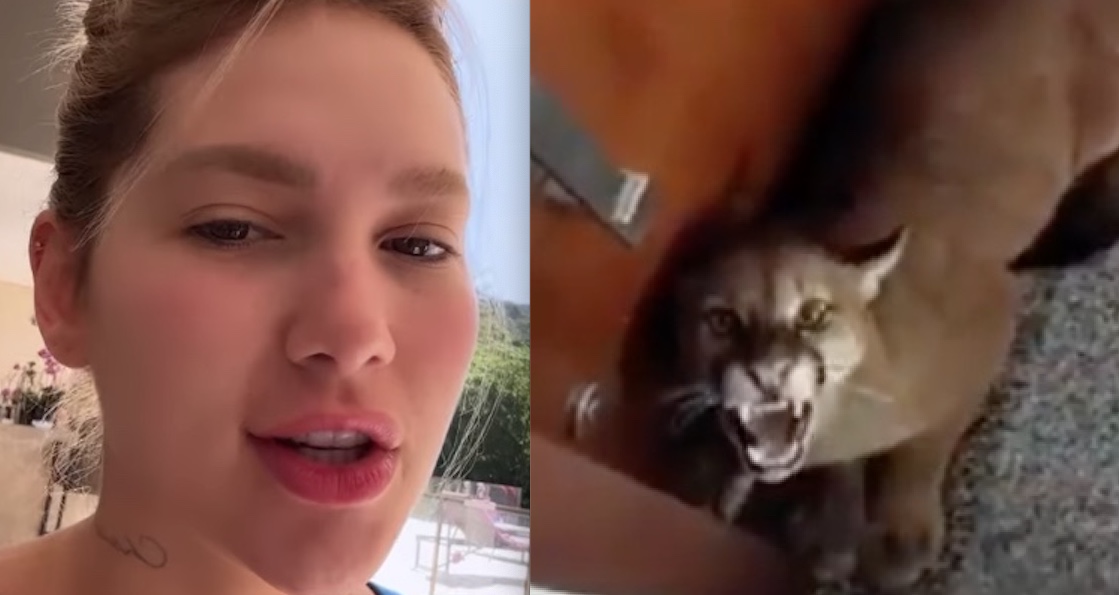 Onça invade condomínio de luxo onde moram Virgínia e Zé Felipe em Goiânia 