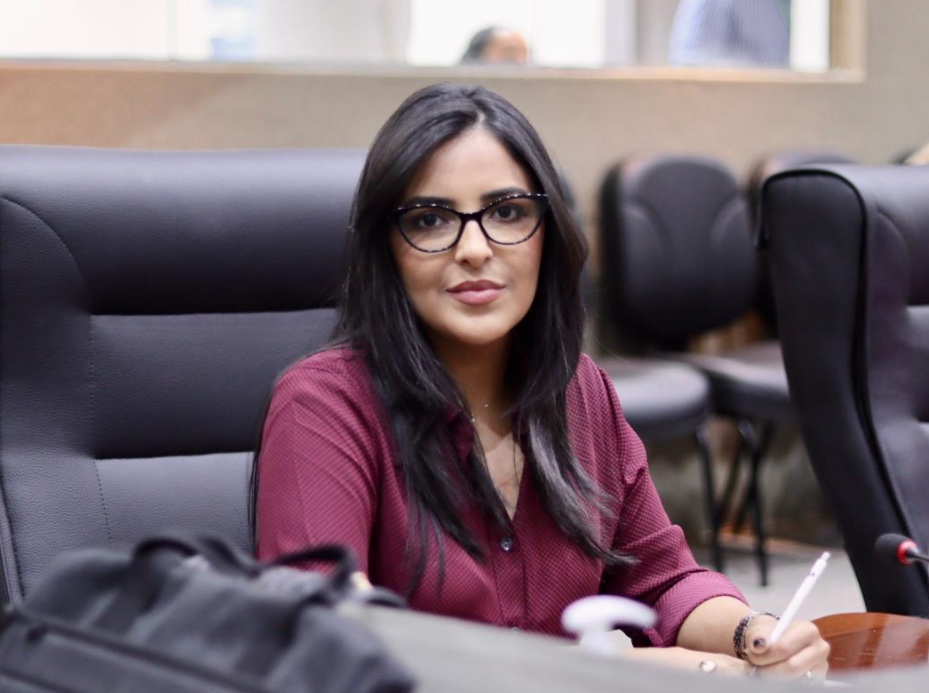 CMM aprova PL que institui colar de girassol para identificar pessoa com doença oculta