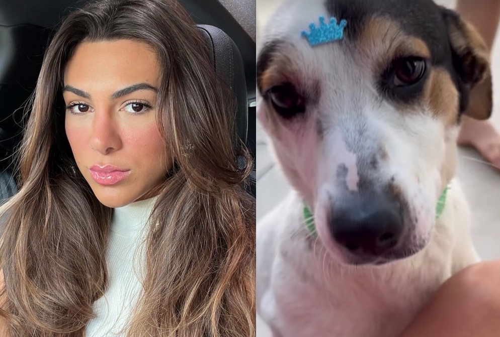 Pétala Barreiros é detonada por doar vira-lata resgatado por ‘falta de espaço'