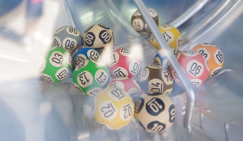 Confira resultados dos concursos 6204 da Quina e 2878 da Lotofácil