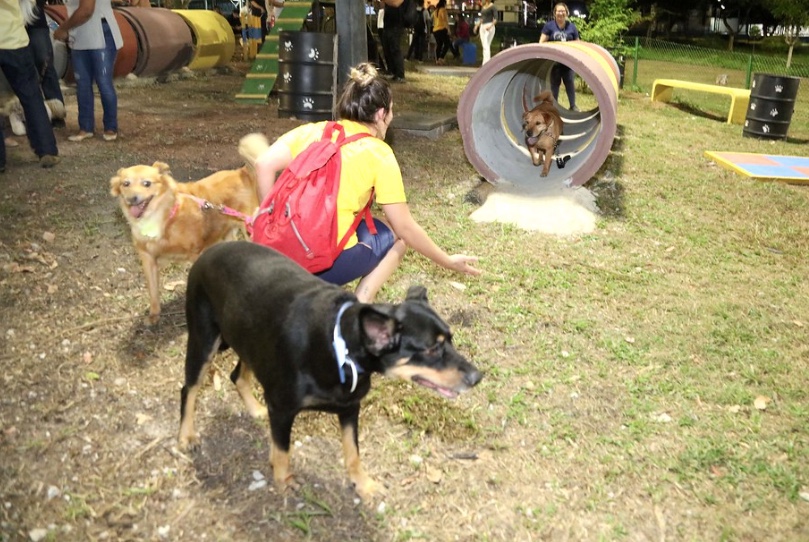 Passa a valer lei que determina uso de focinheiras para cães em parques de Manaus