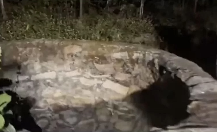 Bebê de 2 meses morre após ser jogada em cacimba por vizinho incomodado com choro