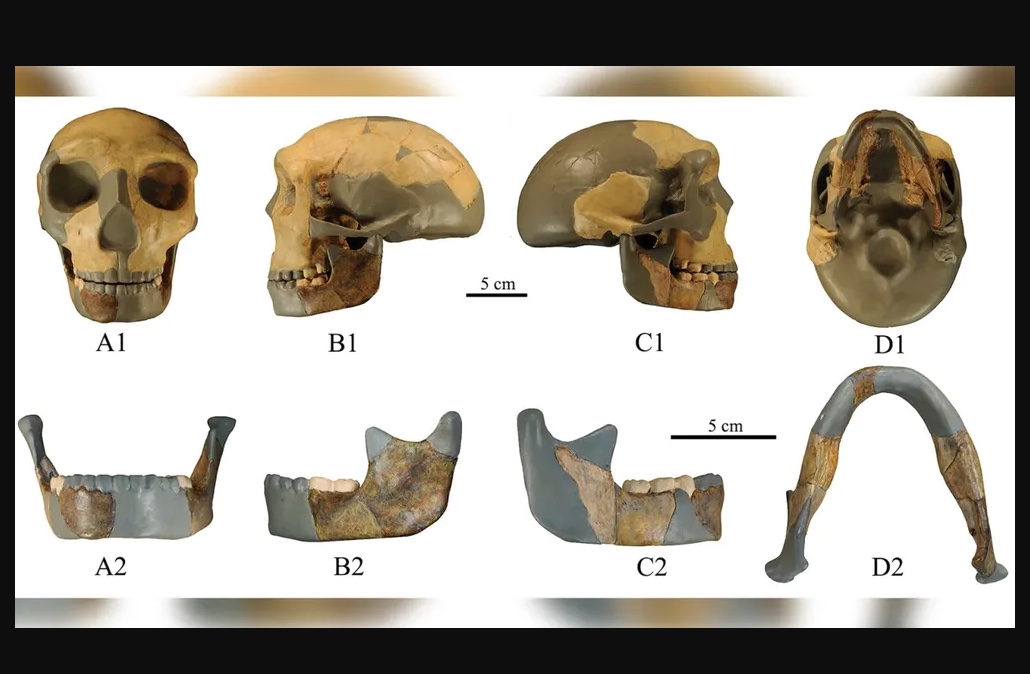 Cientistas descobrem crânio humano de 300 mil anos diferente de todos os achados