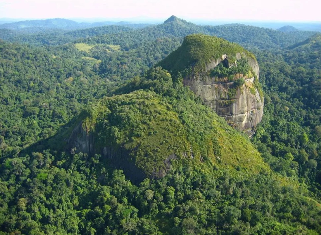 Helicóptero com funcionário da Funai, piloto e mecânico desaparece na floresta Amazônica