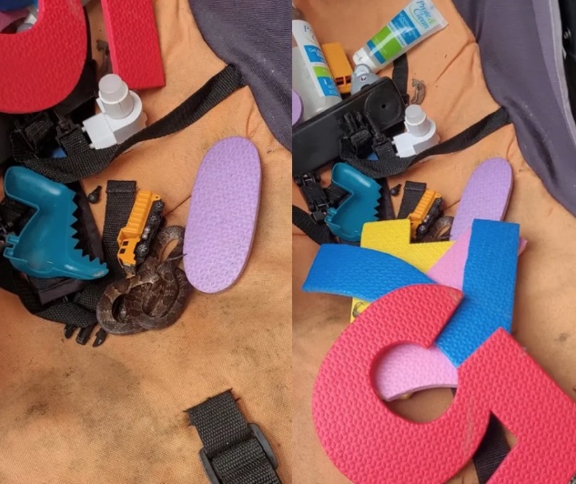 Cobra causa desespero ao ser encontrada em carrinho de bebê