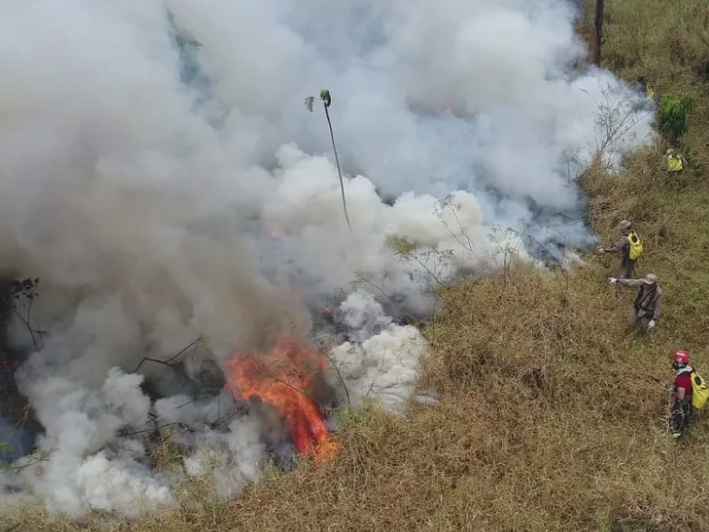 Queimadas no Amazonas levam dois municípios a decretarem situação de emergência