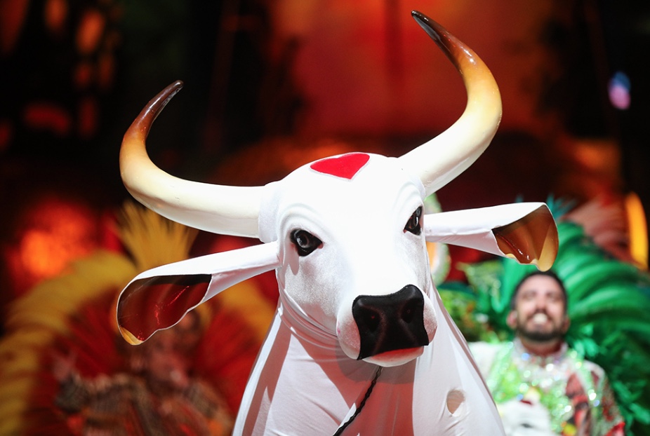 Justiça paga R$ 399 mil a trabalhadores com doença grave que processavam o Boi Garantido