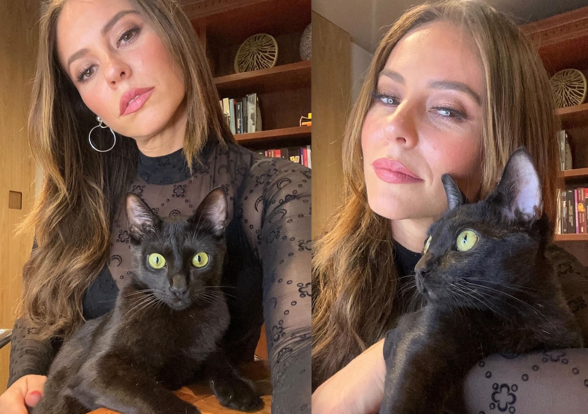 Paolla Oliveira faz apelo contra maus-tratos a gatos pretos na sexta-feira 13