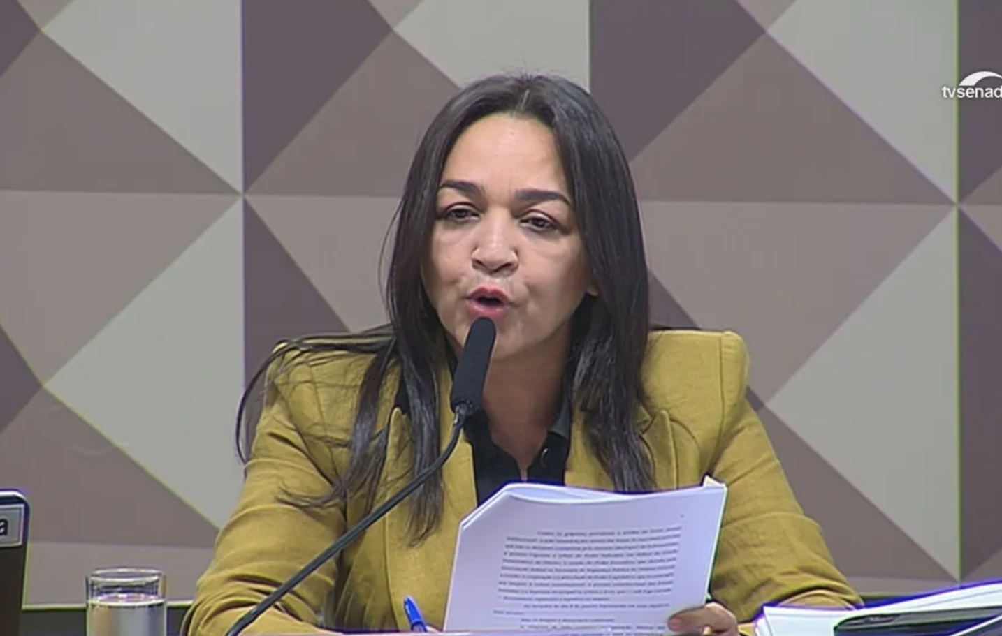 Relatora de CPI do 8 de Janeiro sugere indiciar Bolsonaro, Braga Netto, Heleno e Torres