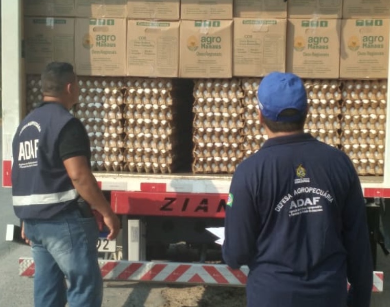 Carga irregular de ovos e agrotóxicos são apreendidos na AM-010