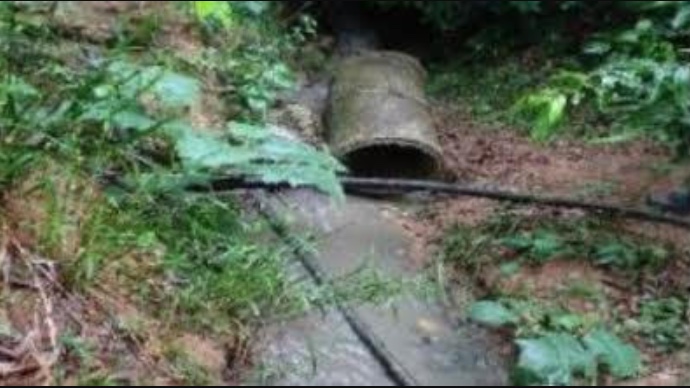 Justiça dá prazo para Prefeitura de Novo Airão interromper despejo de esgoto no Rio Negro