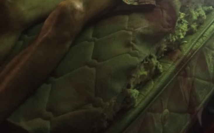 Homem é morto com facada no peito dentro de casa em Tefé