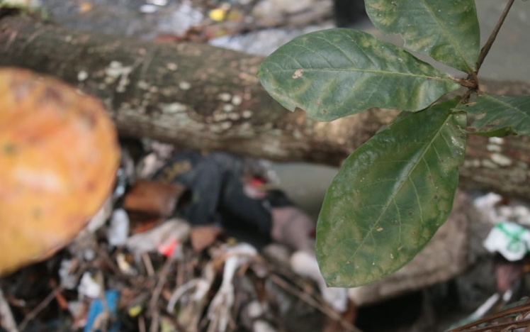 De tornozeleira, homem é encontrado morto em igarapé no conjunto Petros