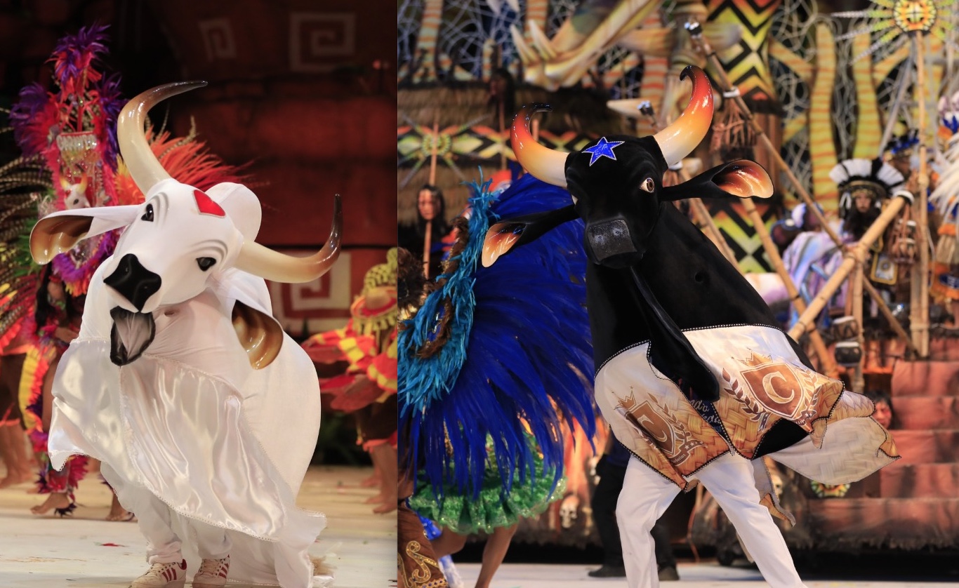 Caprichoso e Garantido participam do ‘São João da Thay’, no Maranhão