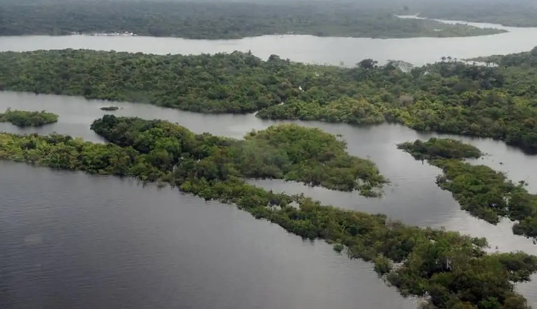 "Narcotráfico é o grande investidor de crimes ambientais na Amazônia", afirma diretor da PF na Aleam 