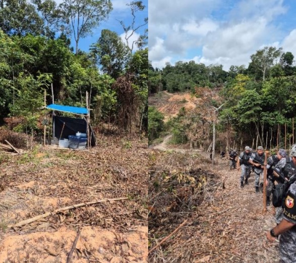 Quatro pessoas são presas após invasão de terras da União no Distrito Industrial
