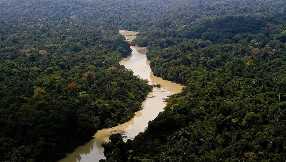 Governo poderá destinar 20% de royalties do petróleo para proteção da Amazônia; entenda PL