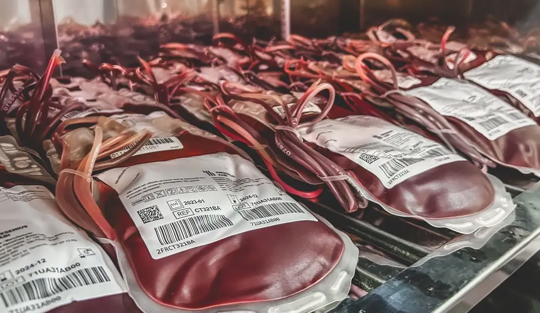 STF julga nesta quarta se testemunha de Jeová pode recusar transfusão de sangue