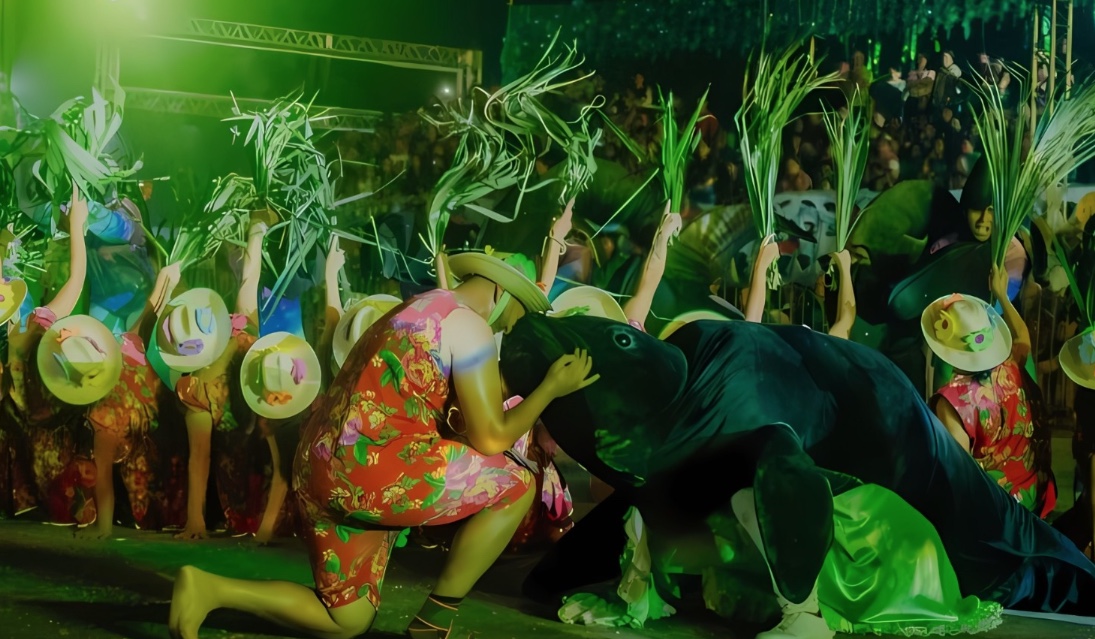 MP investiga venda irregular de camarotes no Eco Festival do Peixe-Boi em Novo Airão