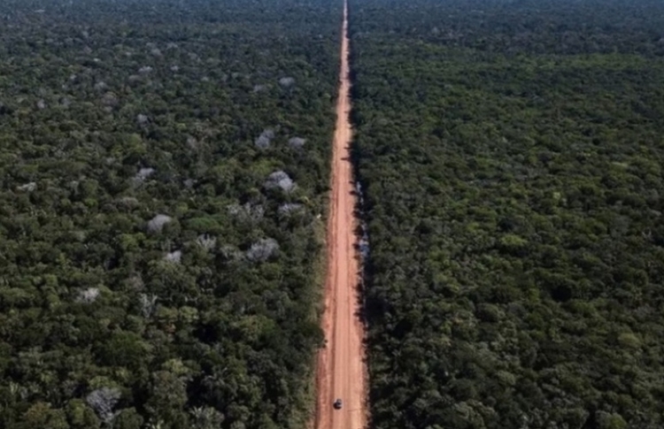 Luiz Fux rejeita pedido de intervenção do STF na pavimentação da BR-319