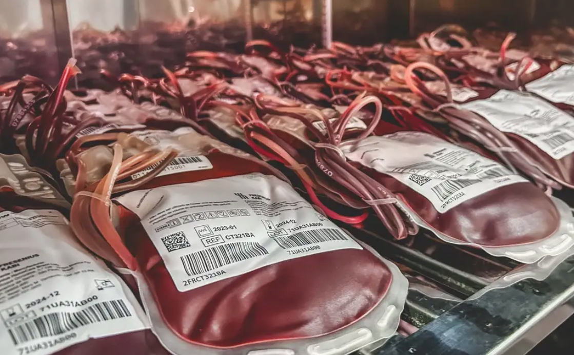 STF aprova direito de Testemunhas de Jeová de recusarem transfusão de sangue 