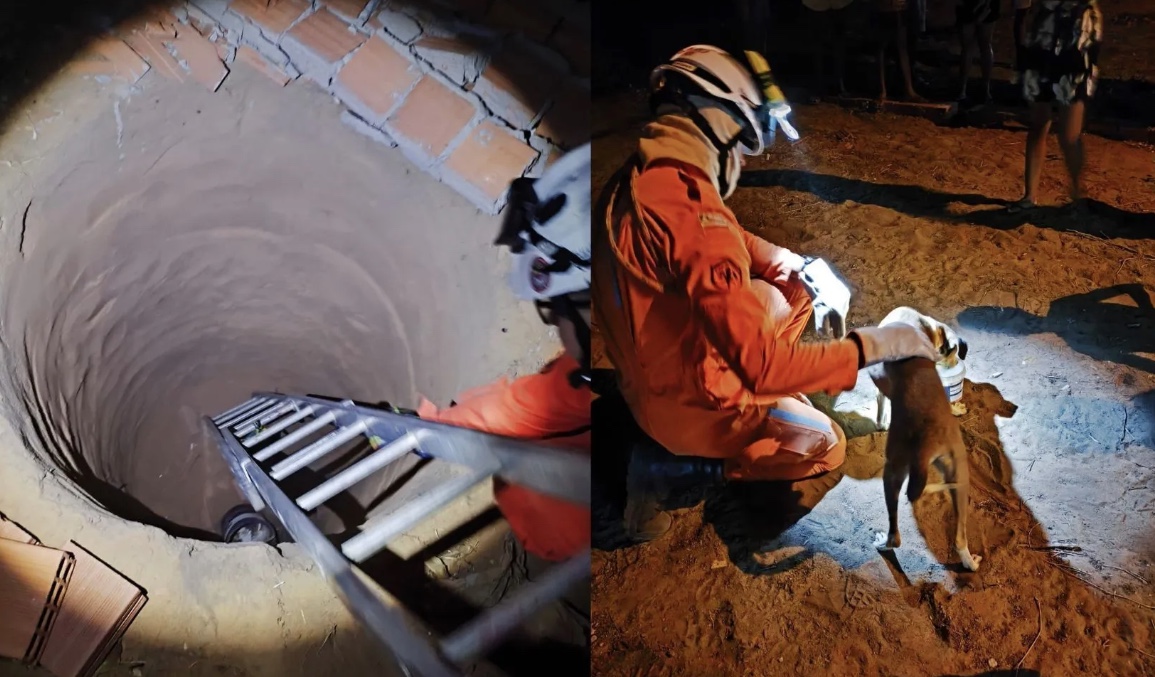 Cachorro cai em fossa de 3 metros e é resgatado por bombeiros