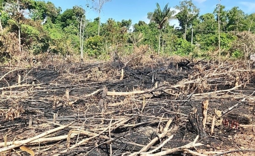 Fazendeiro em Humaitá é multado em R$ 3 milhões por destruição de vegetação nativa