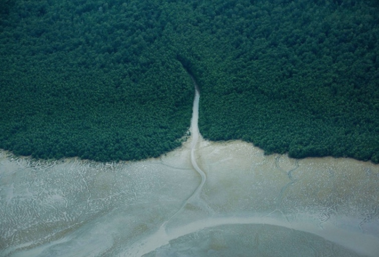 Petrobras vai responder dúvidas do Ibama sobre Foz do Amazonas até o fim do mês