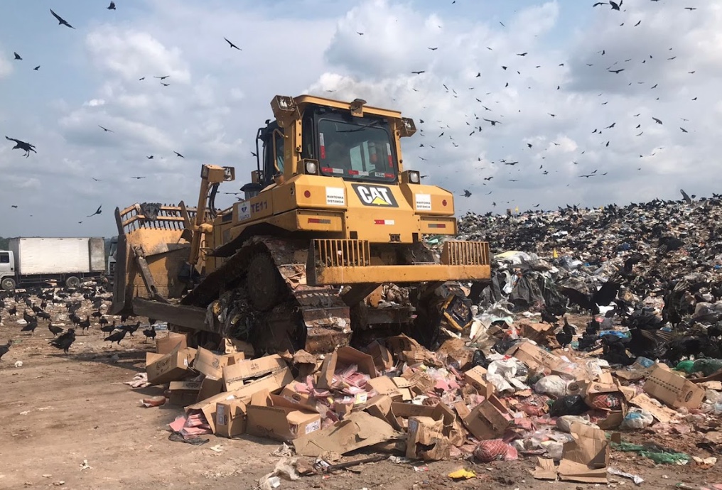 Mais de 3 toneladas de alimentos vencidos são encontrados em empresa de atacado em Manaus