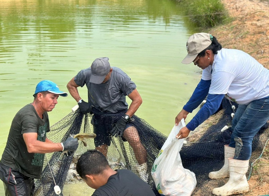 Governo do Amazonas realiza 1ª edição especial do Feirão do Pescado em Manaus 