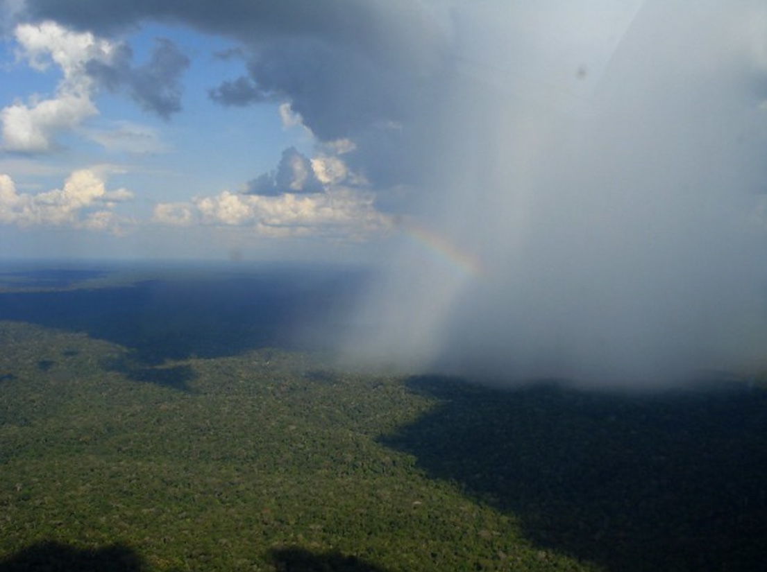 Estudo mostra que desmatamento na Amazônia prejudica produção do agrícola no país
