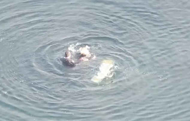 Roubo de joias termina em perseguição, capotamento e fuga a nado