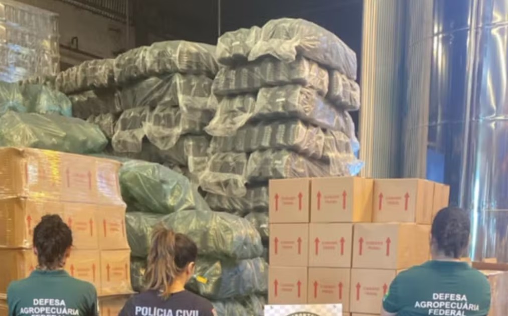 Polícia apreende 17 mil litros de azeite e interdita empresa suspeita de fraudar produção