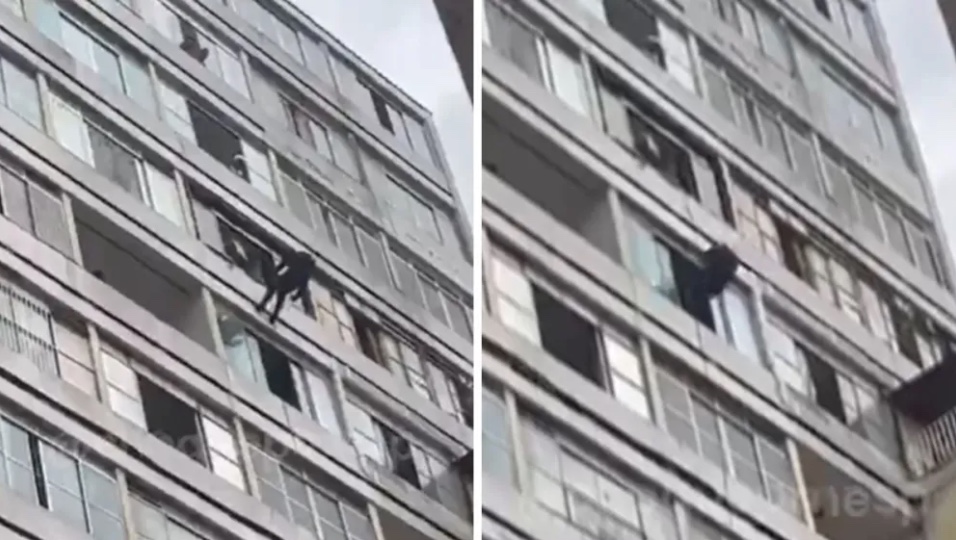 Polícia resgata bebê de sete meses mantido refém pelo próprio pai 